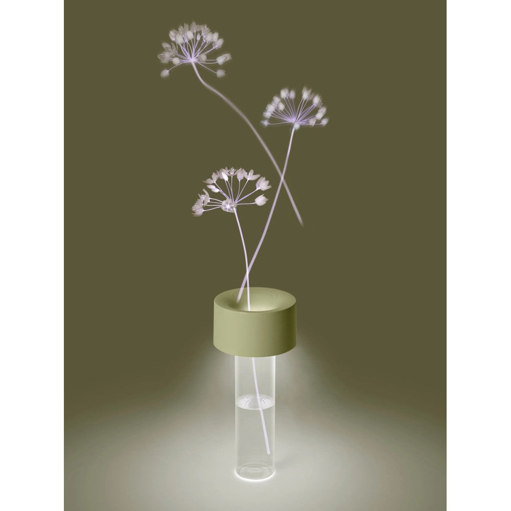 Fleur Foscarini lampada ricaricabile