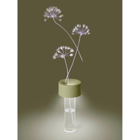 Fleur Foscarini lampada ricaricabile